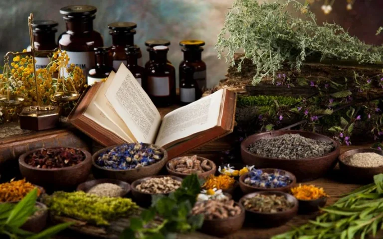 Herbs3