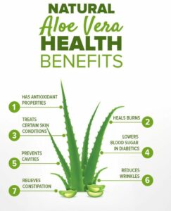 Aloe Vera