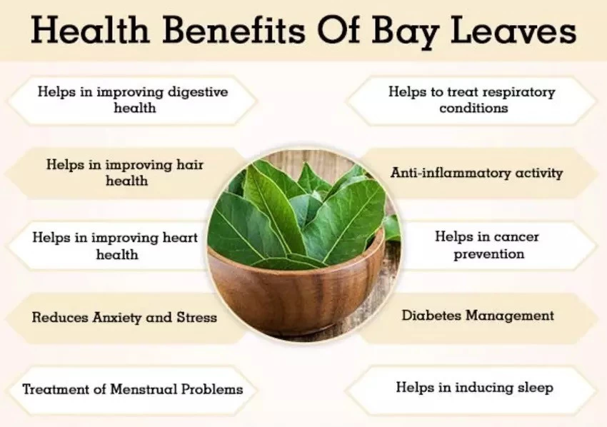 Benefits of Bay Leaves