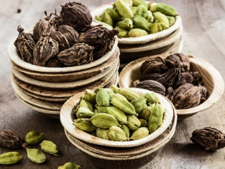 Black Cardamom
