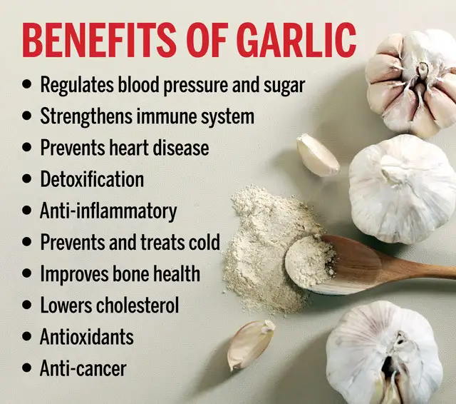 garlic