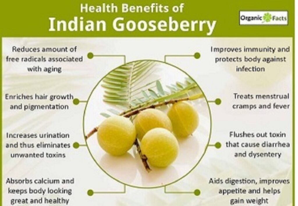 organic-amla