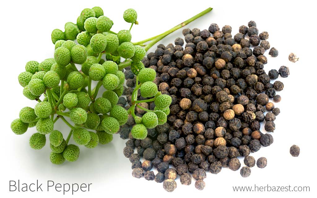 black_pepper